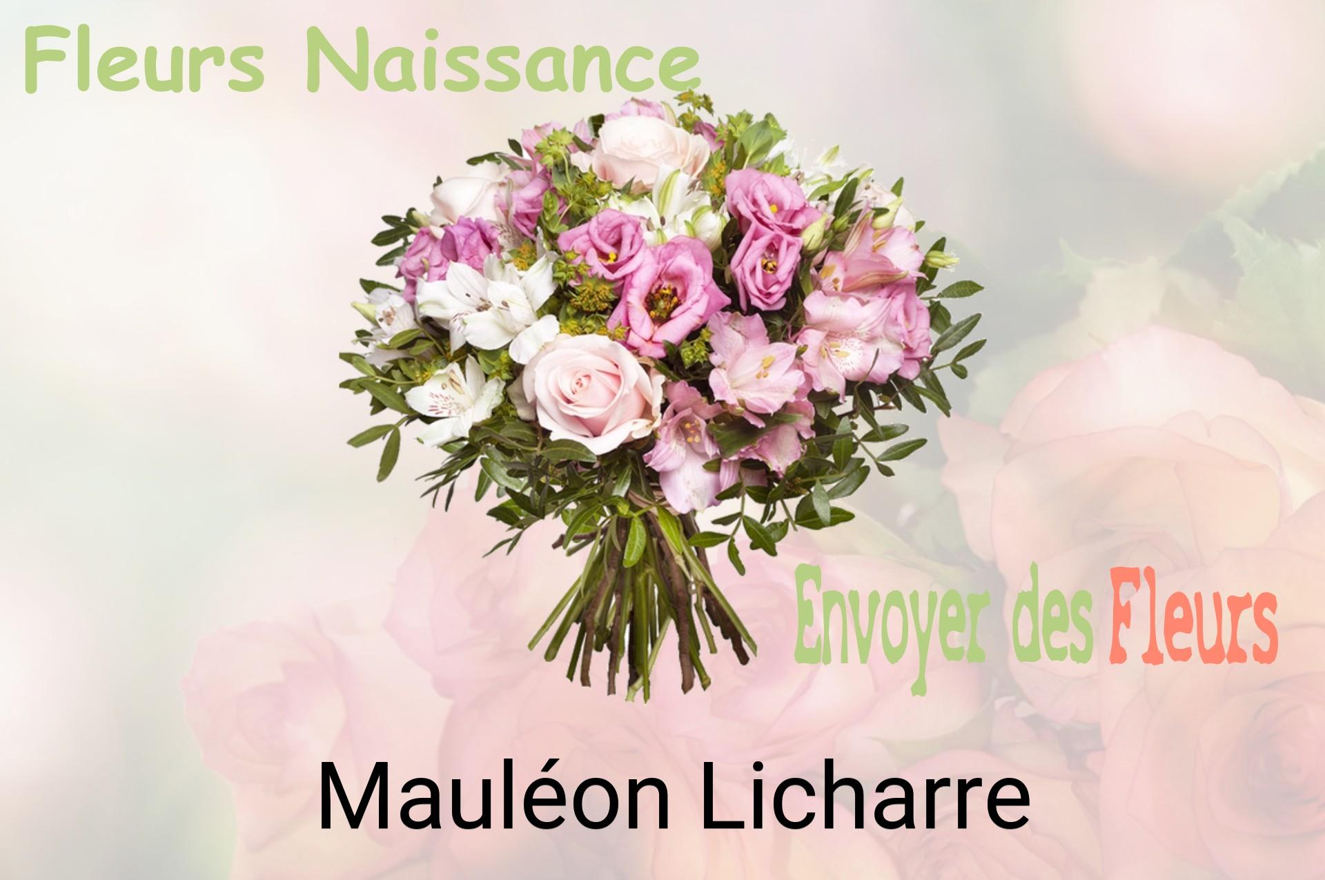 Bouquet de fleurs de naissance livré à Mauléon-Licharre